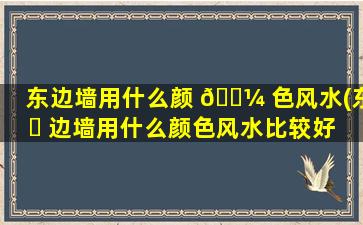 东边墙用什么颜 🐼 色风水(东 ☘ 边墙用什么颜色风水比较好)